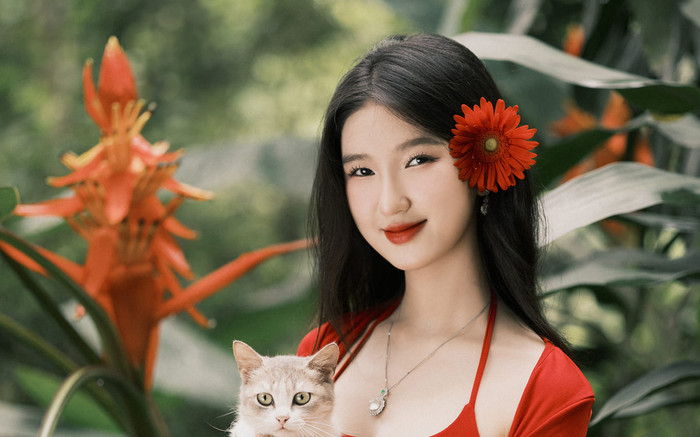 Giới thiệu về Nàng Mơ